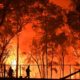 australian brushfires