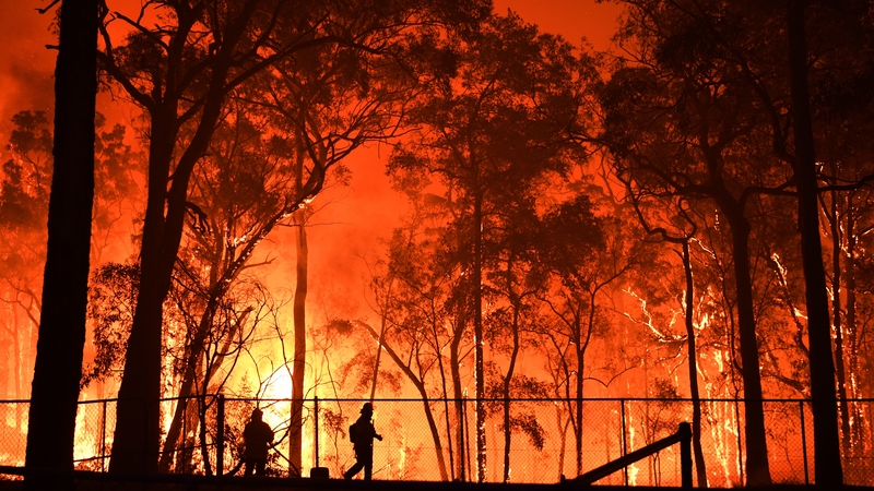 australian brushfires